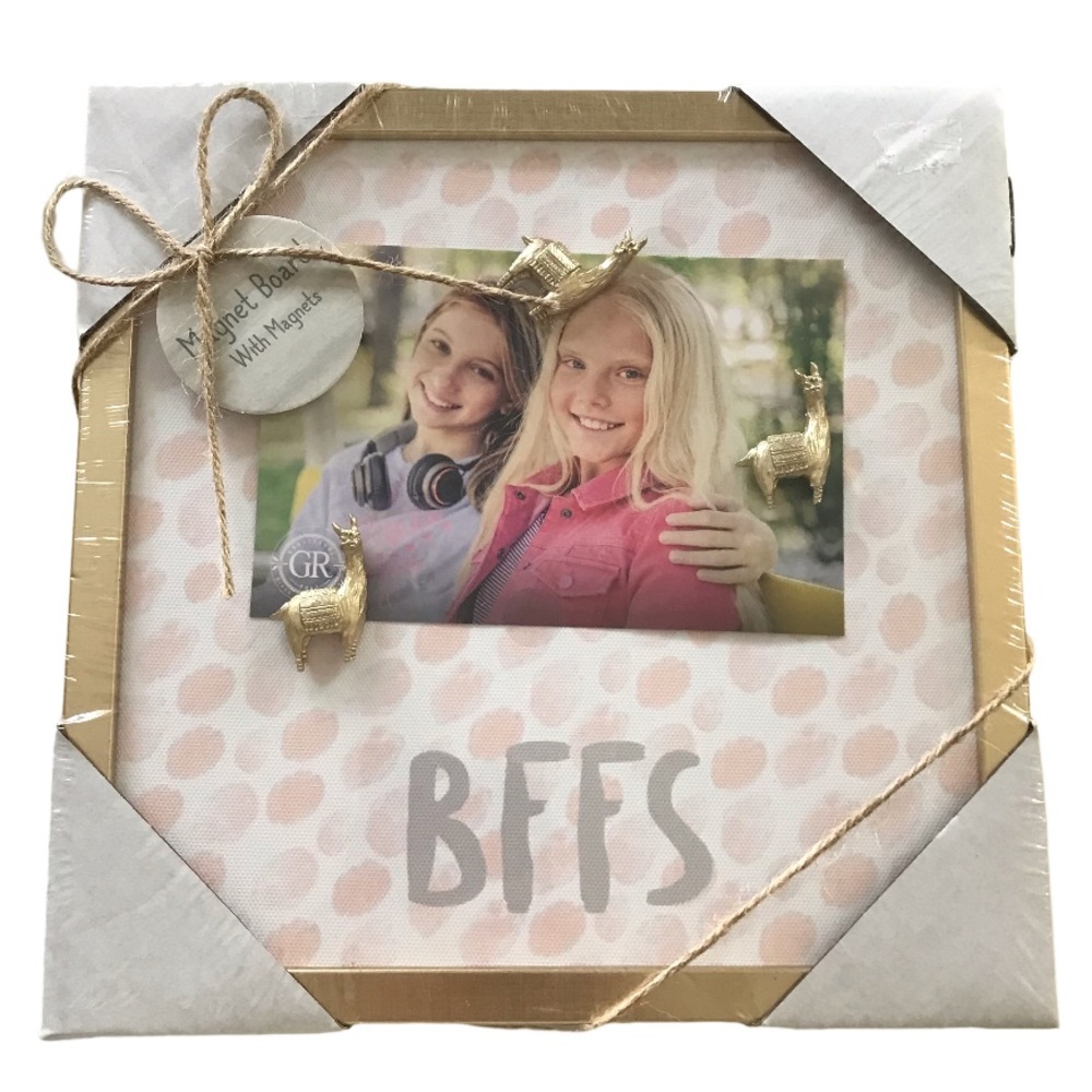 4/$20 Magnetic Board Gold Framed With Llama Magnets “BFFS” New Gift Set